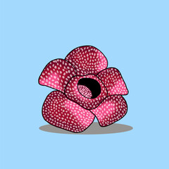 Beautiful Illustration of Raflesia Arnoldi. Flower from Sumatera, Indonesia