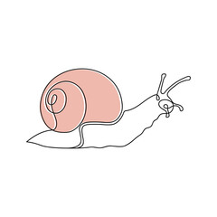 Continuous line drawing of conch snail shell. Minimalist black linear sketch isolated on white background. Hand drawn vector illustration.