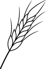 Wheat Illustration A Detailed Line Drawing of a Single Wheat Ear