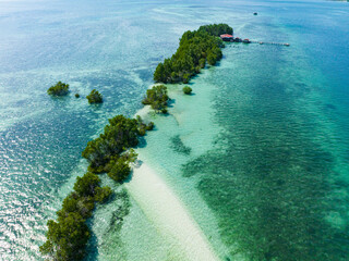 Aerial view of mangroves and sandbar, turquoise water Vanishing Island. Samal, Davao. Philippines.