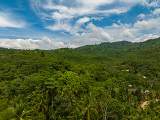 Green mountain with forest and jungle. Blue sky and clouds. Mindanao, Philippines.