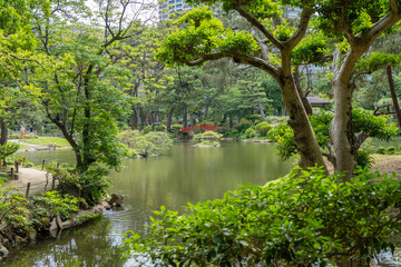 Traditional bridges in Shukkei-en Japanese garden in Hiroshima, Japan