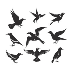 bird icon set  