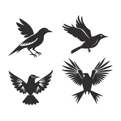 bird icon set  