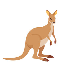 kangaroo cartoon illustration