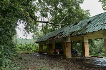 Abandoned shelter in the jungle of Phuket, Thailand. A decaying green roof, overgrown surroundings,...