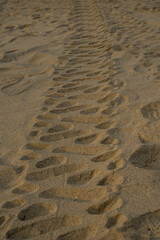 
Sand footprint pattern, wheel footprints in the sand