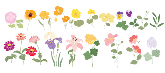 Flower vector element with Wildflower and leaf hand paint. Botanical illustration minimal style.
