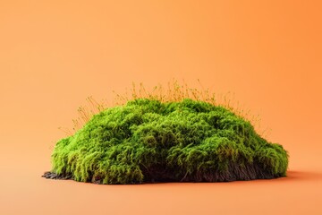 A vibrant patch of moss against a peach backdrop.