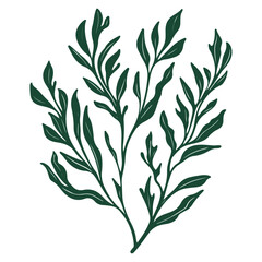 Fototapeta premium seaweed, underwater animals, vector, transparent background, organisms, pattern, green, nature, natural, branch, environment, eco, icon, ecology