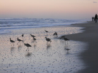 sunset on the beach