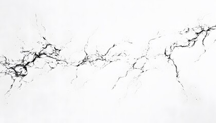 Abstract black lines on white background.