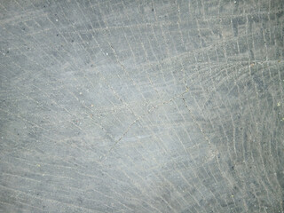wooden texture background surface of a cut tree stump