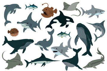 Flat vector illustration of various sea animals including sharks, dolphins, whales, stingray, swordfish, pufferfish, and anglerfish on white background. Vector illustration