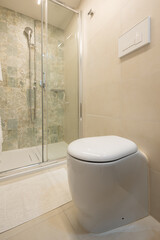 Detail of modern white toilet with shower cubicle in the background.