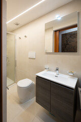 Modern bathroom with shower. Renovation of a bathroom in an old flat.
