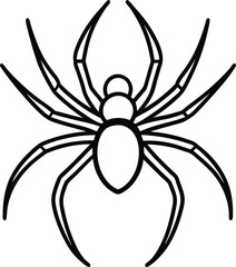 Elegant Line Art Spider Illustration Arachnid Design, Insect Vector