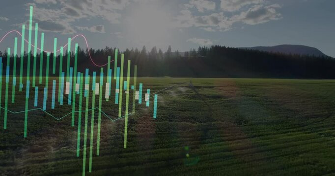 sunrise starting candlestick chart growing over field with pivot sprinkler misting showing yield