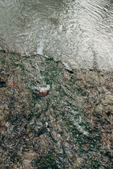 river flow in shallow water through rocks, spring water flow