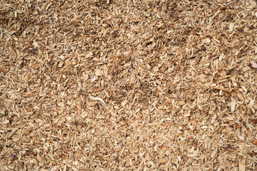 high angle view of mulch background in garden