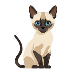 Fototapeta premium じっと見つめるシャム猫