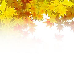 紅葉の壁紙