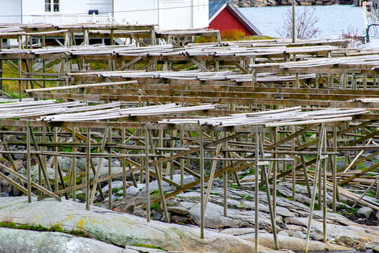 Wooden Racks (Hjell) for Fish Drying