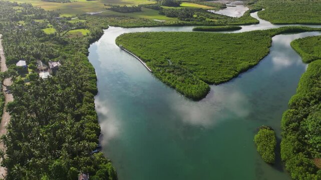 Picturesque aerial pullback of a wide mangrove river park along lush, coastal village community at Batalay, Bato, Catanduanes, Philippines