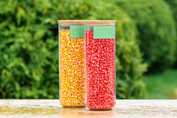 Corn seed chemically treated with bird-repellent for sowing