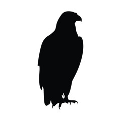 Eagle silhouette, Animal silhouette, Animal eagle