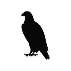 Eagle silhouette, Animal silhouette, Animal eagle
