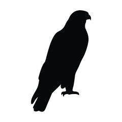 Eagle silhouette, Animal silhouette, Animal eagle