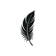 Obraz premium Single black feather silhouette simple design