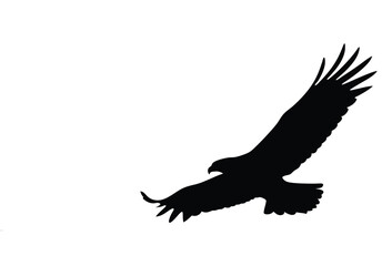 Eagle silhouette, Animal silhouette, Animal eagle