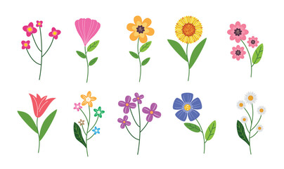 Hand-Drawn Cute Wildflower Set vector illustration