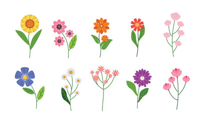 Hand-Drawn Cute Wildflower Set vector illustration