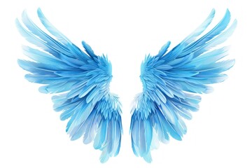 Fototapeta premium Blue angel wings illustration