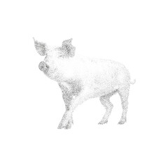 Pig Dotwork Illustration – Farm Animal Stippling Ink Art in Black and White Line Style
