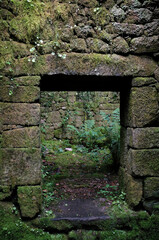 Doorway of an abandoned building in a forest
