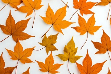 Autumn leaves background