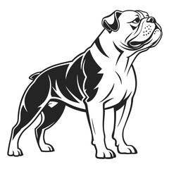 Bulldog Stance Illustration, Monochrome Design, Isolated Against a White Background