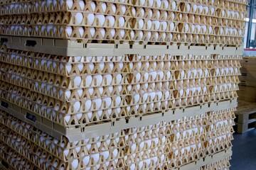 Pellet with egg crates and thousands of eggs waiting to be shipped to distribution center