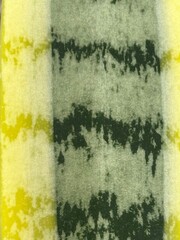 abstract snake plant background