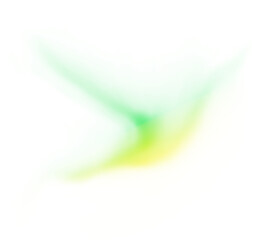 Colorful Celestial Wings: A Dance of the Aurora