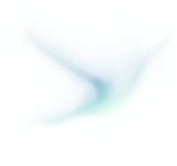 Colorful Celestial Wings: A Dance of the Aurora