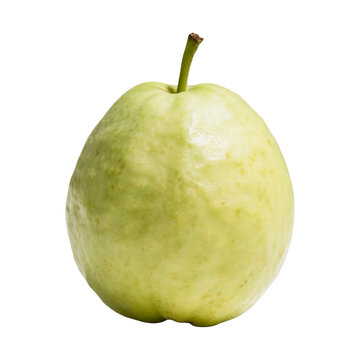 A Fresh, Ripe Guava Isolated on a Transparent Background