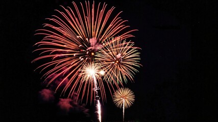 Obraz premium fireworks in the sky
