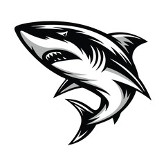 Menacing Black and White Shark with Sharp Teeth and Aggressive Facial Expression