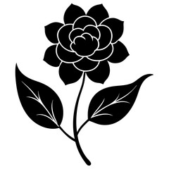 black and white rose