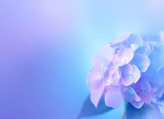 右に彩るやわやかな印象の紫陽花と青と水色と紫のグラデーション　